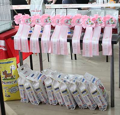 �������� ����� 22-23 ������ 2014 WCF-����� 169A9304 copy.jpg